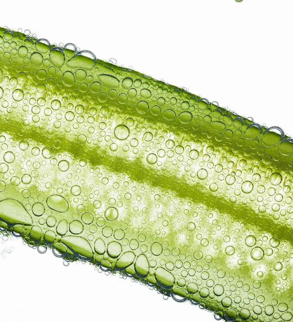 Aloe Vera Extract
