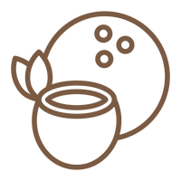 <p>Coconut & shea care</p>