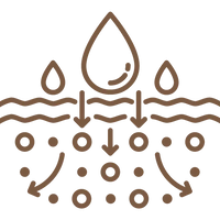 <p>Even Skin Tone</p>